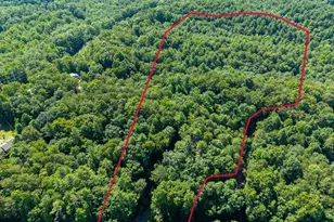 955 Lower Tails Creek Rd, Ellijay, GA 30540 - Photo 14