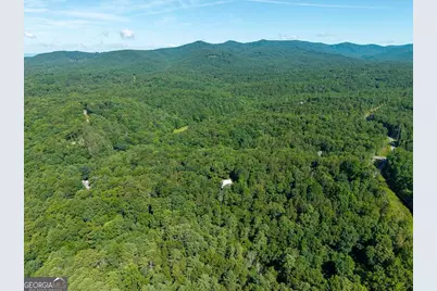 955 Lower Tails Creek Road, Ellijay, GA 30540 - Photo 18