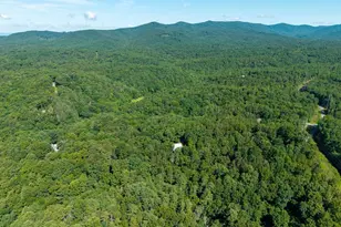 955 Lower Tails Creek Rd, Ellijay, GA 30540 - Photo 18