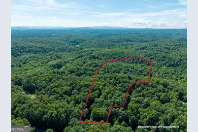 955 Lower Tails Creek Road, Ellijay, GA 30540 - Photo 16