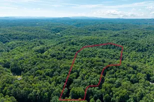 955 Lower Tails Creek Rd, Ellijay, GA 30540 - Photo 16