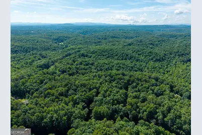 955 Lower Tails Creek Road, Ellijay, GA 30540 - Photo 16