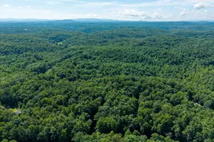 955 Lower Tails Creek Rd, Ellijay, GA 30540 - Photo 16