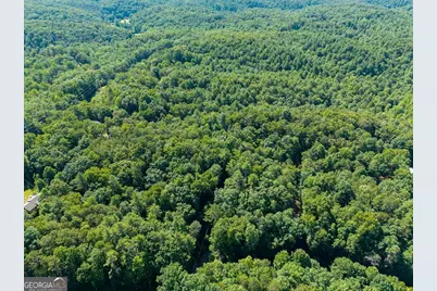 955 Lower Tails Creek Road, Ellijay, GA 30540 - Photo 18