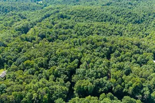 955 Lower Tails Creek Rd, Ellijay, GA 30540 - Photo 18