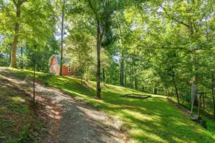 955 Lower Tails Creek Rd, Ellijay, GA 30540 - Photo 14