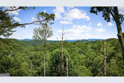 290 Graham Court, Ellijay, GA 30540 - Photo 62