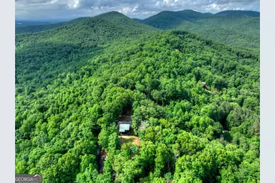 782 Scenic Mountain View Road, Blue Ridge, GA 30513 - Photo 40