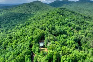 782 Scenic Mountain View Rd, Blue Ridge, GA 30513 - Photo 40