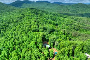 782 Scenic Mountain View Rd, Blue Ridge, GA 30513 - Photo 42