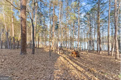 287 Spring Branch Circle, Toccoa, GA 30577 - Photo 46
