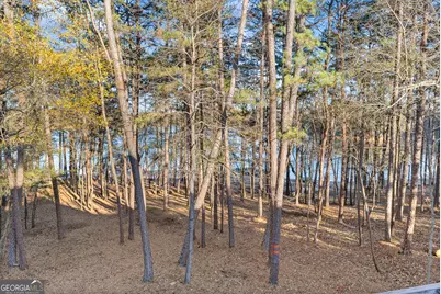 287 Spring Branch Circle, Toccoa, GA 30577 - Photo 50