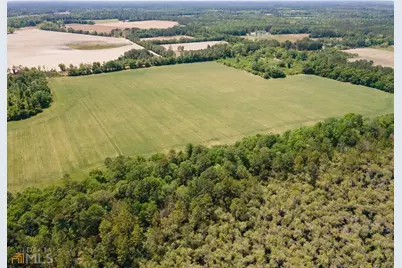 0 Old River Road S #LOT 7, Brooklet, GA 30415 - Photo 1