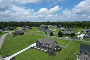 3 Wysteria Ln, Claxton, GA 30417 - Photo 38