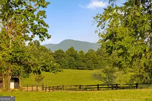 3905 Hwy 286, Chatsworth, GA 30705 - Photo 10