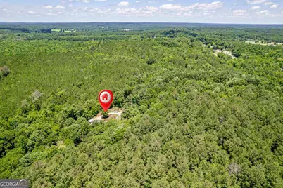 4271 Veazey Road, Greensboro, GA 30642 - Photo 60