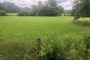 517 Trice Cemetery Rd, Thomaston, GA 30286 - Photo 26