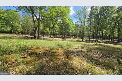 213 Duncan Swindle Road, Commerce, GA 30530 - Photo 84