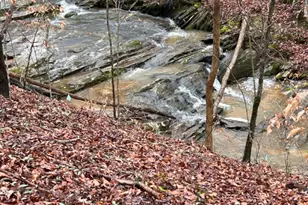 302 Waterfall Ct, Canton, GA 30115 - Photo 68