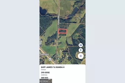 295 Gose Road, Forsyth, GA 31029 - Photo 20