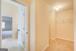344 Mango Ct, McDonough, GA 30253 - Photo 28