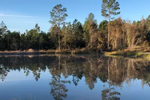 6064 S US Hwy 301, Jesup, GA 31546 - Photo 6