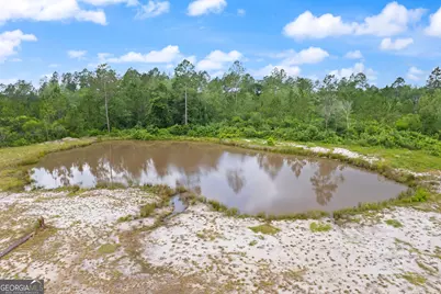 6064 S US Highway 301, Jesup, GA 31546 - Photo 8