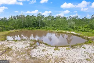 6064 S US Hwy 301, Jesup, GA 31546 - Photo 8