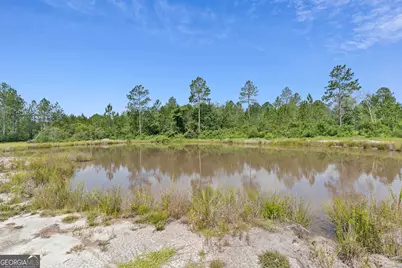 6064 S US Highway 301, Jesup, GA 31546 - Photo 10