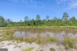 6064 S US Hwy 301, Jesup, GA 31546 - Photo 10
