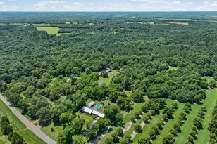 820 Pryor Rd, De Soto, GA 31743 - Photo 40