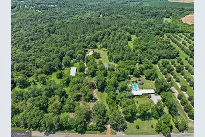 820 Pryor Road, De Soto, GA 31743 - Photo 38