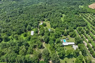 820 Pryor Rd, De Soto, GA 31743 - Photo 38