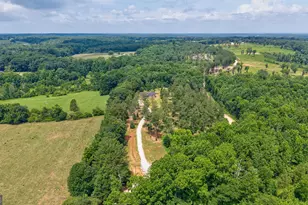 1100 Langford Carey Rd, Danielsville, GA 30633 - Photo 48