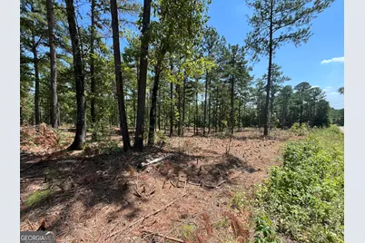 Lot 17 Gordon Road, Forsyth, GA 31029 - Photo 1