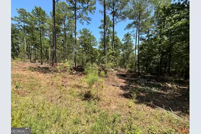 Lot 18 Gordon Road, Forsyth, GA 31029 - Photo 2