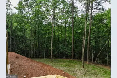 257 Gallery Court, Ellijay, GA 30540 - Photo 48