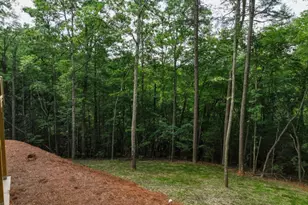 257 Gallery Ct, Ellijay, GA 30540 - Photo 48