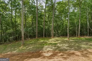 257 Gallery Ct, Ellijay, GA 30540 - Photo 50