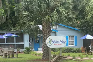 402 Houston St, Darien, GA 31305 - Photo 58