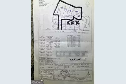 0 Jacobs Street, Nahunta, GA 31553 - Photo 4