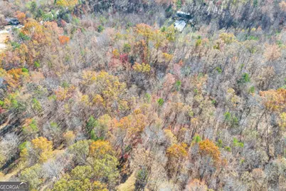 Lot 12 N Hicks Road, Toccoa, GA 30577 - Photo 14
