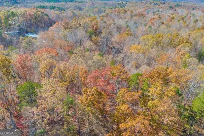 Lot 12 N Hicks Road, Toccoa, GA 30577 - Photo 20