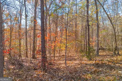 Lot 12 N Hicks Road, Toccoa, GA 30577 - Photo 8
