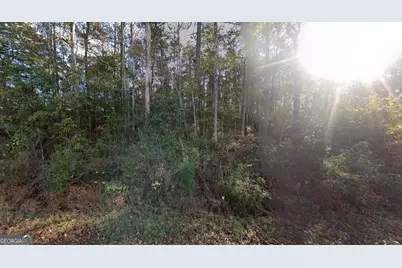 246 Pine Hill Road, Lagrange, GA 30241 - Photo 2