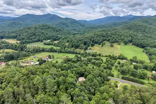 2228 Walls Mountain, Hiawassee, GA 30546 - Photo 50