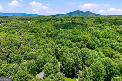 188 Seaborn Drive, Cleveland, GA 30528 - Photo 42