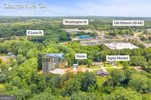 256 Lacount Ln, Clarkesville, GA 30523 - Photo 58