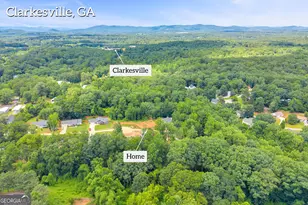256 Lacount Ln, Clarkesville, GA 30523 - Photo 62