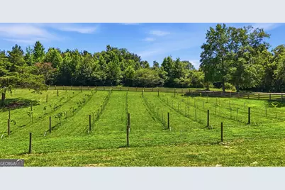 410 Tower Road, Martin, GA 30557 - Photo 80